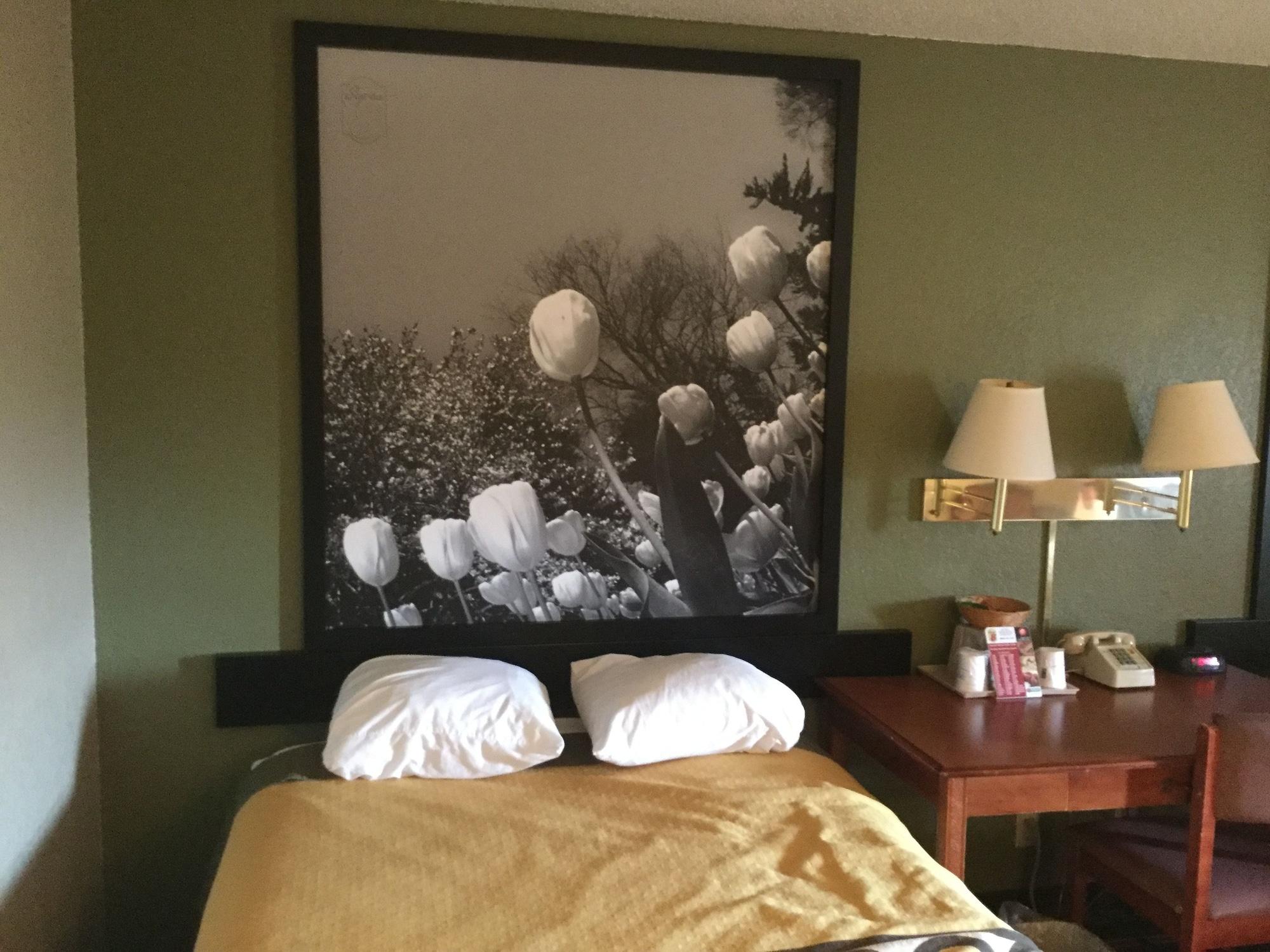 Super 8 By Wyndham Youngstown/Austintown Ngoại thất bức ảnh