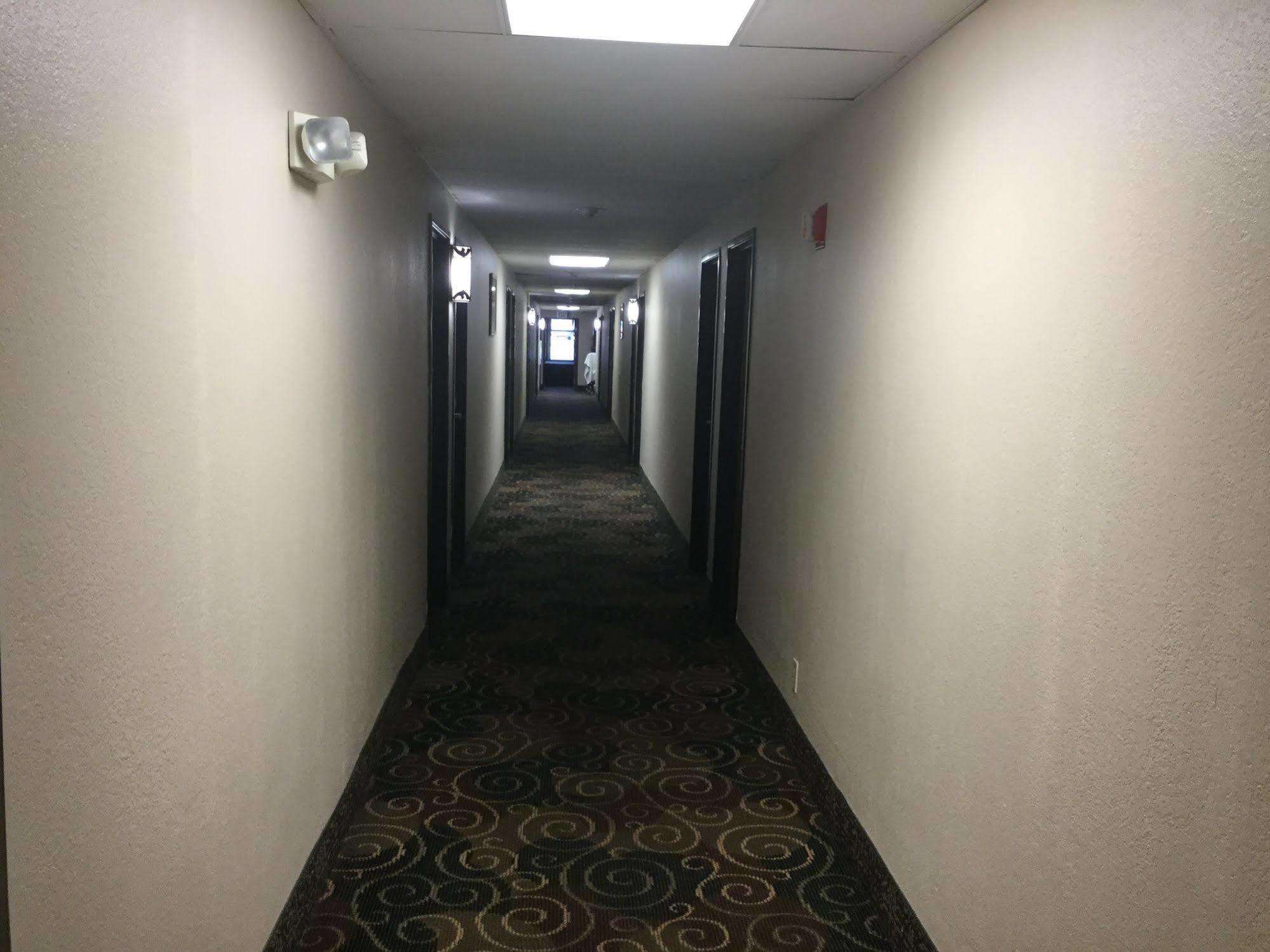 Super 8 By Wyndham Youngstown/Austintown Ngoại thất bức ảnh